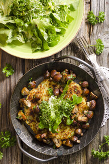 Frische Kartoffelrösti in der Pfanne mit Champignons und Salat auf dem Teller - ODF000804