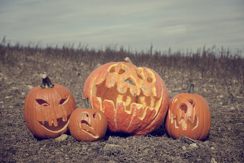 Germany, Baden-Wuerttemberg, Halloween, pumpkins on field - MIDF000005