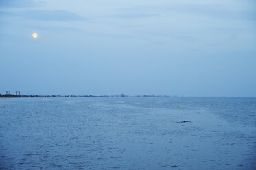 USA, Florida, Fort Myers Beach, Delphine im nächtlichen Meer - BRF000674