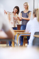 Studenten halten eine anatomische Präsentation im Klassenzimmer - ZEF000716