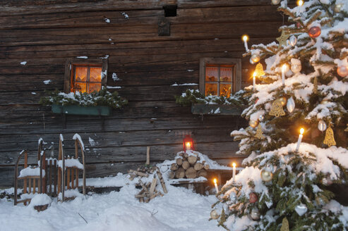 Austria, Salzburg State, Altenmarkt-Zauchensee, facade of wooden cabin with lightened Christmas Tree in the foreground - HHF004862