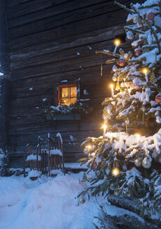 Austria, Salzburg State, Altenmarkt-Zauchensee, facade of wooden cabin with lightened Christmas Tree in the foreground - HHF004863