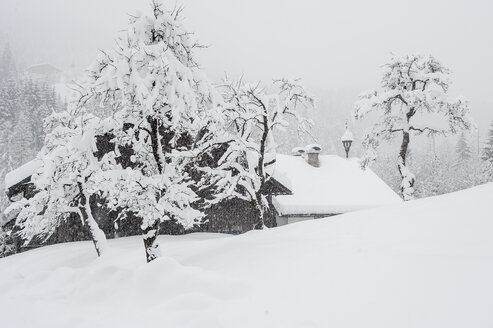 Austria, Salzburg State, Eben, farm in snow - HHF004912