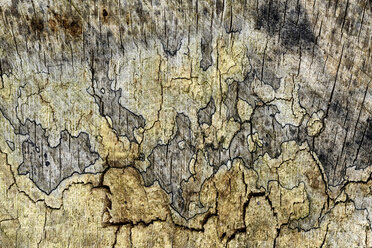 United Kingdom, Wood texture - MJOF000678