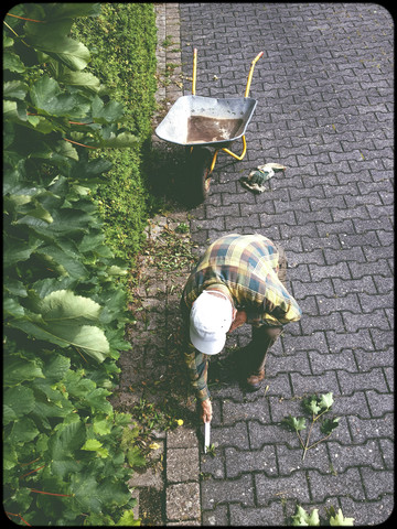Mann arbeitet im Garten, lizenzfreies Stockfoto