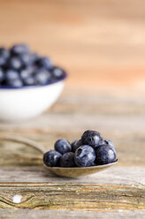 Löffel mit Blaubeeren auf Holz - ODF000815