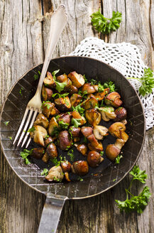 Frying pan with fried champignons - ODF000821