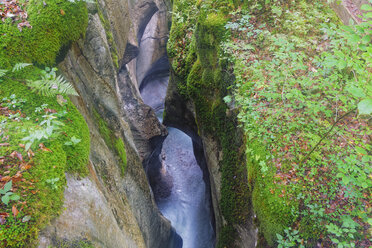 Österreich, Bundesland Salzburg, Tennengau, Hallein, Tauglbach in der Strubklamm - GF000548