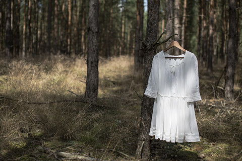 Weißes Kleid an einem Baumstamm im Wald hängend, lizenzfreies Stockfoto