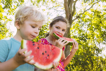 Kinder essen Scheiben von Wassermelone im Garten - MFF001283