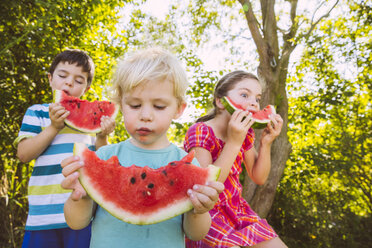 Kinder essen Scheiben von Wassermelone im Garten - MFF001284