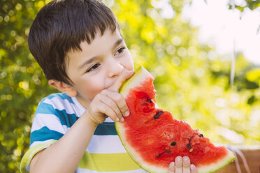 Boy eating slice of watermelon in garden - MFF001295