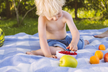 Junge pflückt rote Johannisbeeren aus einer Schale auf einer Picknickdecke - MFF001291