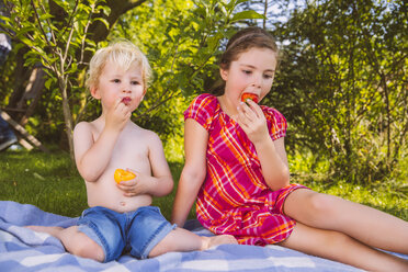 Boy and girl enjoying fruit on picnic blanket in garden - MFF001296