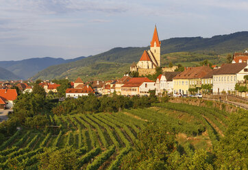 Österreich, Niederösterreich, Waldviertel, Wachau, Weißenkirchen in der Wachau, Weingut - SIEF005889