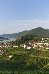 Österreich, Niederösterreich, Waldviertel, Wachau, Donau, Spitz an der Donau - SIEF005899