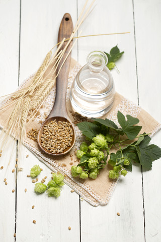 Zutaten zum Bierbrauen, Hopfen, Wasser, Gerste, lizenzfreies Stockfoto