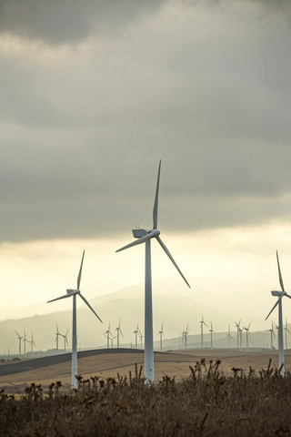 Spanien, Andalusien, Tarifa, Windpark, lizenzfreies Stockfoto