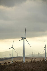 Spanien, Andalusien, Tarifa, Windpark - KBF000174