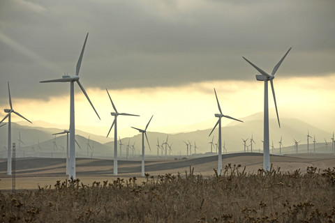 Spanien, Andalusien, Tarifa, Windpark, lizenzfreies Stockfoto