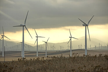 Spanien, Andalusien, Tarifa, Windpark - KBF000175