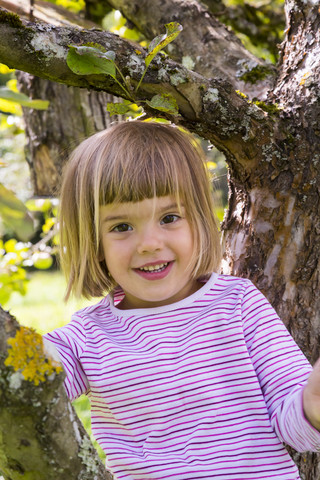 Portrait of smiling little girl sitting on an apple tree stock photo