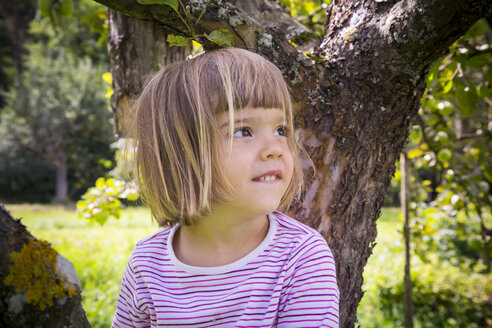 Porträt eines kleinen Mädchens, das auf einem Apfelbaum sitzt - LVF001780