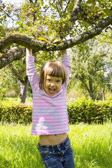 Porträt eines lachenden kleinen Mädchens, das an einem Ast eines Apfelbaums hängt - LVF001855