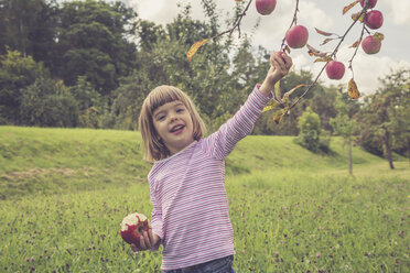 Porträt eines lächelnden kleinen Mädchens, das Äpfel von einem Baum pflückt - LVF001783