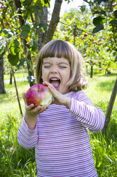 Porträt eines kleinen Mädchens, das einen Apfel auf einer Wiese mit verstreuten Früchten isst - LVF001787