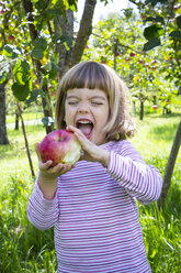 Portrait of little girl eating an apple on a meadow with scattered fruits - LVF001787