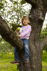 Porträt eines lächelnden kleinen Mädchens mit einem Apfel, das auf einem Apfelbaum sitzt - LVF001795