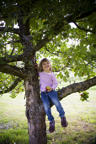 Porträt eines lächelnden kleinen Mädchens mit einem Apfel, das auf einem Apfelbaum sitzt, lizenzfreies Stockfoto