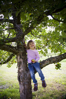 Porträt eines lächelnden kleinen Mädchens mit einem Apfel, das auf einem Apfelbaum sitzt - LVF001796
