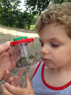 Boy exploring green frog - AFF000119