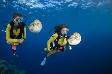 Ozeanien, Palau, Taucher beobachten Palau Nautilus, Nautilus belauensis, im Pazifik - JWAF000199