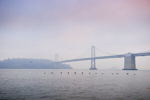 USA, Kalifornien, San Francisco, Oakland Bay Bridge und Yerba Buena Island im Morgennebel - BRF000724