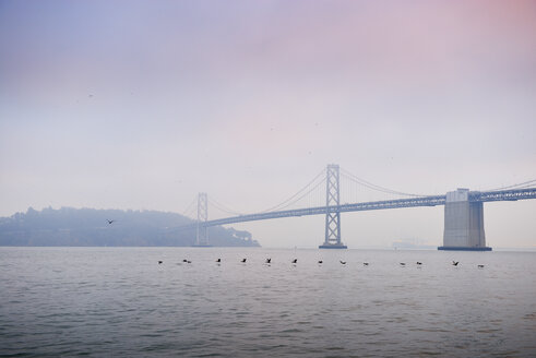 USA, Kalifornien, San Francisco, Oakland Bay Bridge und Yerba Buena Island im Morgennebel - BRF000724