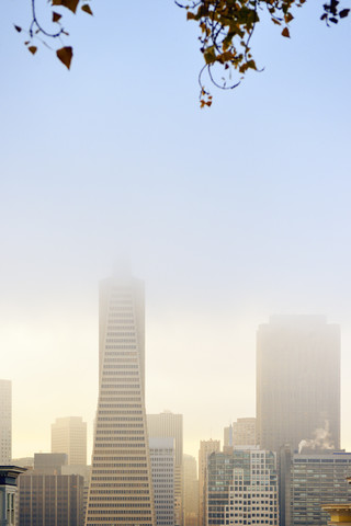 USA, California, San Francisco, Financial District with Transamerica Pyramide in fog stock photo