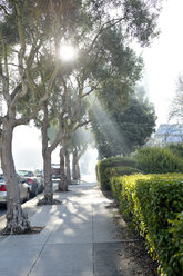 USA, Kalifornien, San Francisco, Sonnenstrahlen scheinen auf Gehweg durch Nebel - BR000772