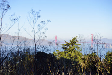 USA, Kalifornien, San Francisco, Blick von Lands End zur Golden Gate Bridge - BRF000758