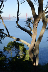 USA, Kalifornien, San Francisco, Blick von Lands End zur Golden Gate Bridge - BRF000699