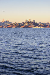 USA, California, San Francisco, Telegraph Hill and Coit Tower in morning light - BRF000676