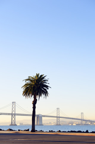 USA, Kalifornien, San Francisco, Oakland Bay Bridge und Palme auf Treasure Island in der Morgensonne, lizenzfreies Stockfoto