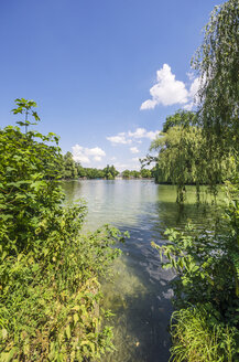 Deutschland, Bayern, München, Schwabing, Englischer Garten, Schwabinger Bach, Englischer Garten - THAF000601