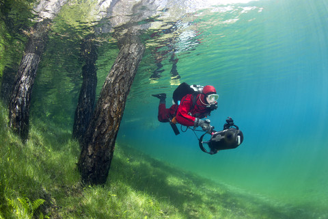 Österreich, Steiermark, Tragoess, Grüner See, Taucher schwimmt über überflutete Wiese und neben Baumstämmen, lizenzfreies Stockfoto