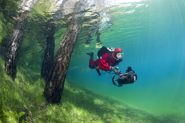 Österreich, Steiermark, Tragoess, Grüner See, Taucher schwimmt über überflutete Wiese und neben Baumstämmen - YRF000064