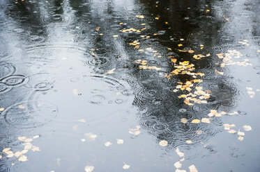 Regentropfen fallen auf Wasser - HHF004869