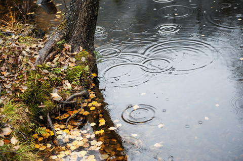 Regentropfen fallen auf Wasser, lizenzfreies Stockfoto