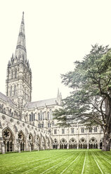 United Kingdom, England, Wiltshire, Salisbury, Salisbury Cathedral, Courtyard with cloister - DISF000986